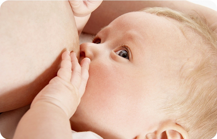 zusammensetzung muttermilch