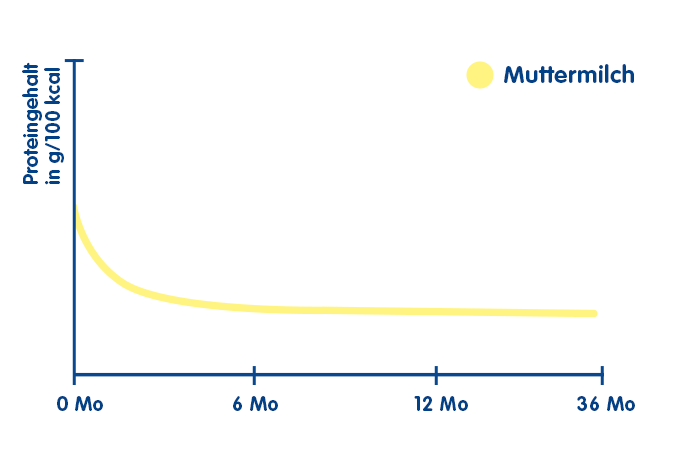 Proteingehalt der Muttermilch | Babyservice 