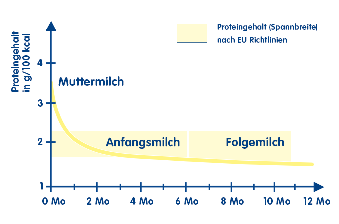 Die Proteinmenge von Muttermilch, Anfangsmilch und Folgemilch | Babyservice 