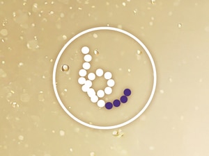 Protein