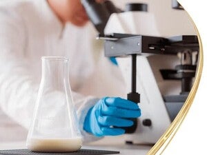 Die Wissenschaft hinter unseren Rezepturen