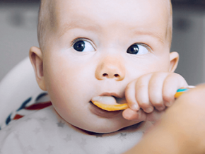 Babys Beikost | Baby&me