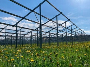 Solarstrom für die Produktion