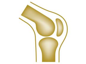 Für den KNOCHENAUFBAU