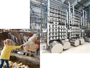 Was ist eigentlich drin in unserer Säuglings­milch?