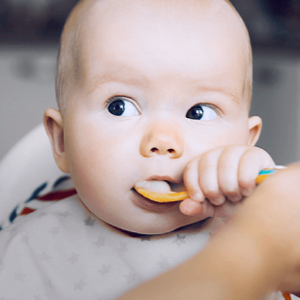 Babys Beikost | Baby&me