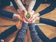 adobestock_272343619.jpg