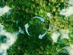 adobestock_457332892.jpg