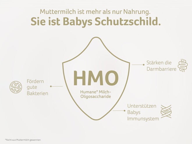 HMO in der Muttermilch