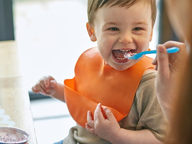 Healthy Toddler Diet