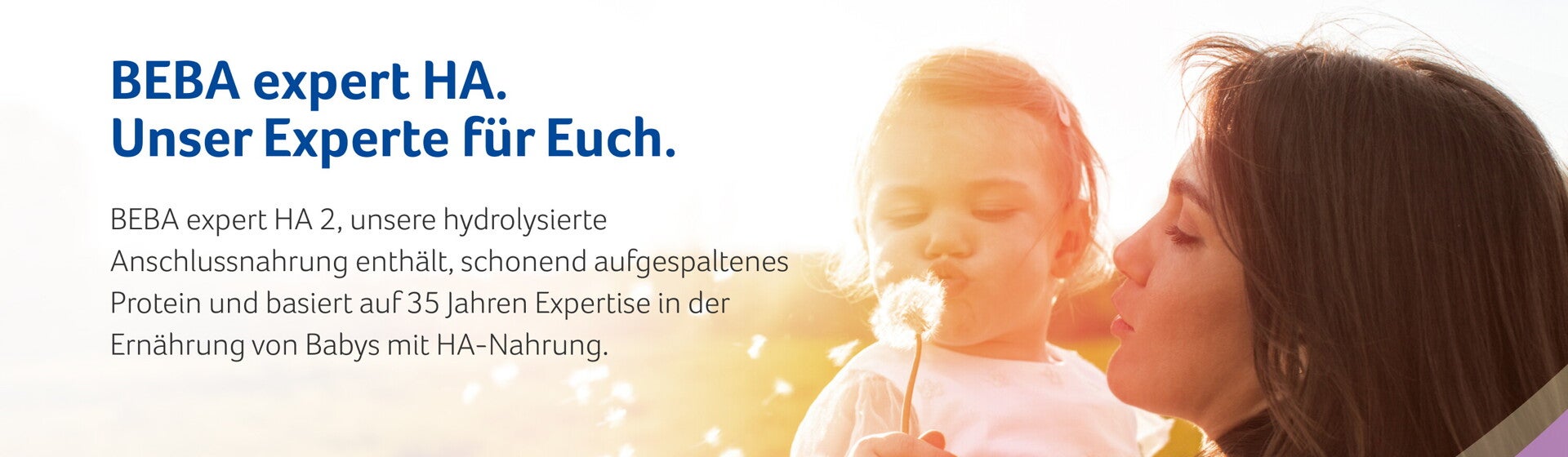 HA Hero Brand Banner HA Hero Brand Banner