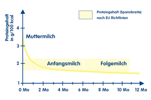 Die Proteinmenge von Muttermilch, Anfangsmilch und Folgemilch | Babyservice Die Proteinmenge von Muttermilch, Anfangsmilch und Folgemilch | Babyservice