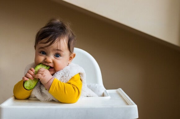 Ab wann mit Baby-led Weaning beginnen? Ab wann mit Baby-led Weaning beginnen?
