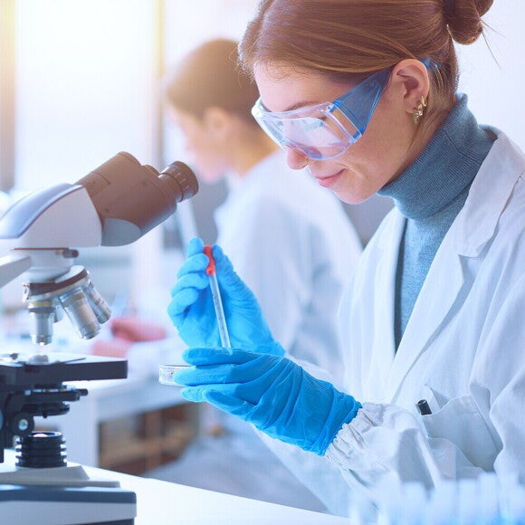 Forschung Asset Grid Wrapper