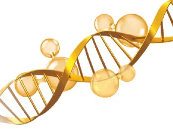 BEBA Supreme Helix BEBA Supreme Helix