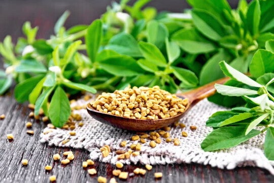 Bockshornklee _ steigert die Milchproduktion Bockshornklee _ steigert die Milchproduktion