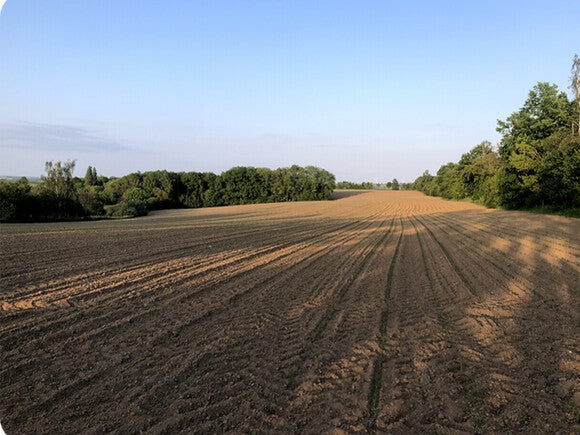 Foto eines gepflügten Feldes mit Furchen, die unter blauem Himmel bis zur Baumgrenze führen