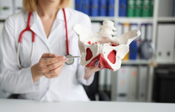 Eine medizinische Fachkraft zeigt mit einem Stift auf ein anatomisches Modell des weiblichen Beckens.