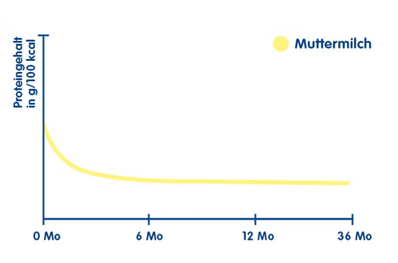 Proteingehalt der Muttermilch | Babyservice Proteingehalt der Muttermilch | Babyservice