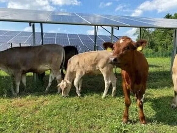 Nachhaltigkeit im Werk