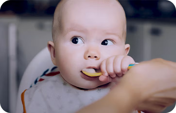 Immunsystem stärken im Beikostalter | Babyservice Immunsystem stärken im Beikostalter | Babyservice