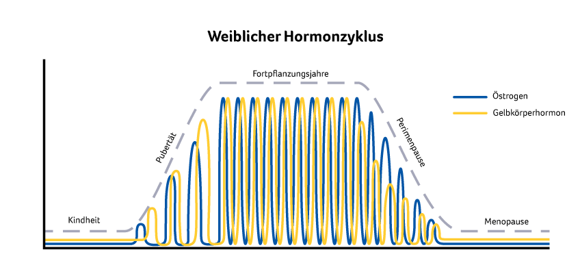Weiblicher Hormonzyklus