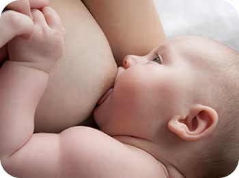 Alles über die Muttermilch Alles über die Muttermilch