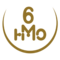 Gold semicircle logo with stylized 8 above HMO on dark background